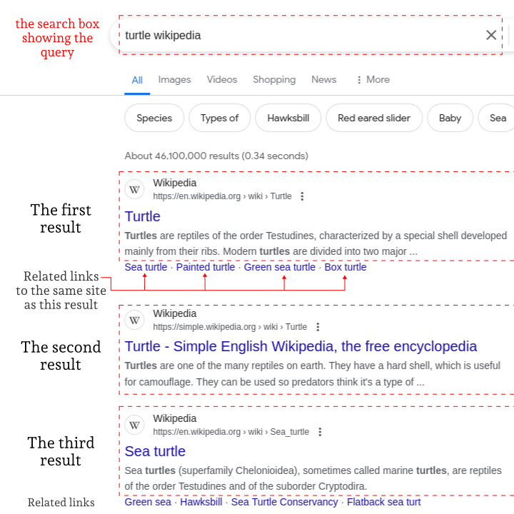 A screenshot of Google's search result page, showing three results for the query "turtle wikipedia" with the results labelled "the first result" "related links to the same site as this result" "the second result" "the third result" and so on.