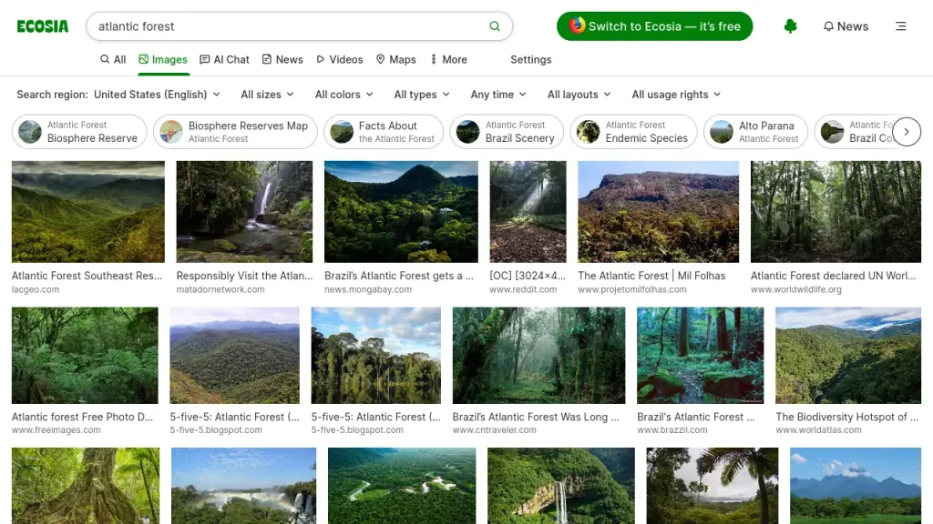 A screenshot of Ecosia's image search results page for the query "atlantic forest."