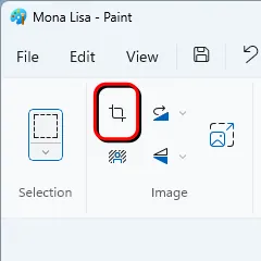 The crop tool in Paint.