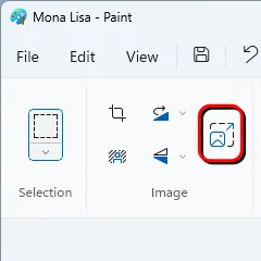 The location of the resize button in MS Paint.