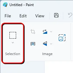 The selection tool in Paint.