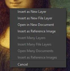 A popup menu with options: Insert as New Layer; Insert as New File Layer; Open in New Document; Insert as Reference Image; Cancel.