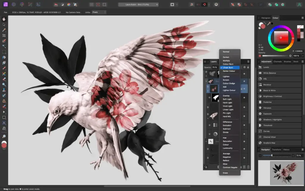 An image editor window with a photo of a bird open and a list of layer blend modes visible.