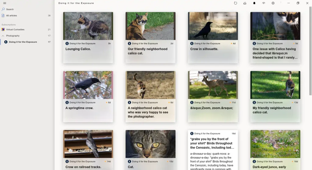 A flat light grey colored window with two panes: a left pane listing feeds, and the main pane listing articles in a grid feed of 4 columns as cards with large thumbnails of photos above the title and other information.